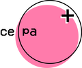 cepa comunidad
